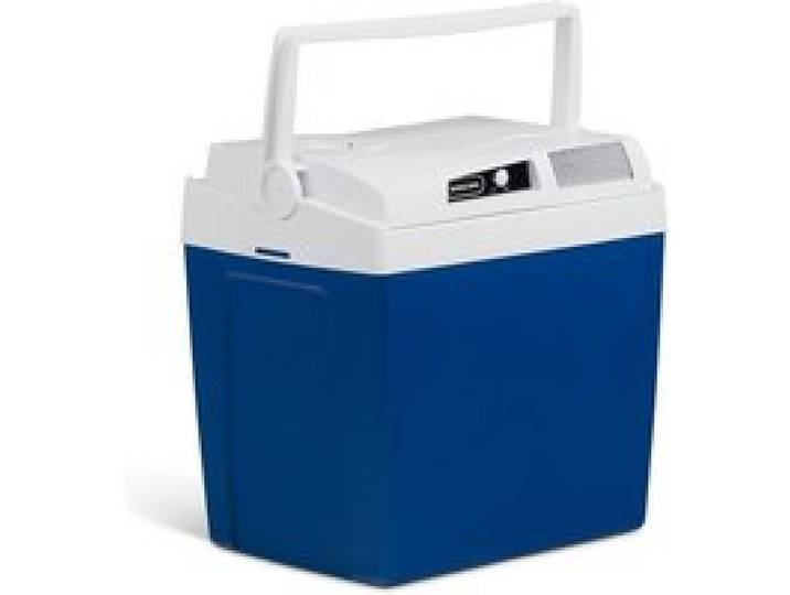 Glacière Électrique Portable 23L Thermoélectrique 12V/230V - Mini Frigo pour Voiture Camping-Car Camion et Bateau