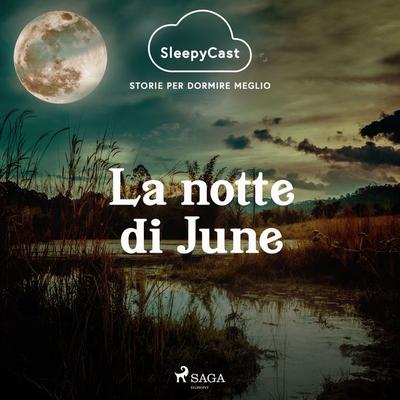 SleepyCast. Storie per dormire meglio 2.6 - Andrea Orlando, Audio, 9788728553817