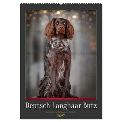 Deutsch Langhaar Butz - Jagdhund mit Passion und Herzblut (Wandkalender 2027 DIN A2 hoch), CALVENDO Monatskalender