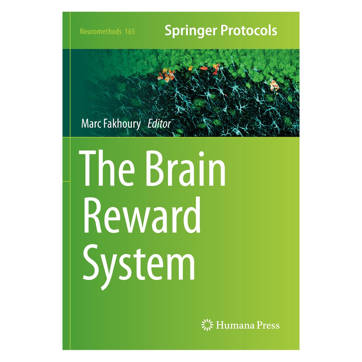 Springer The Brain Reward System (Englisch, Softcover, Marc Fakhoury) (56221999)
