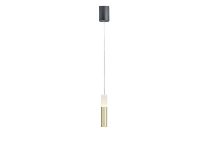 Helestra Led-Pendelleuchte Lidos, Schwarz, Goldfarben, Metall, Glas, 4.5 cm, Lampen & Leuchten, Innenbeleuchtung, Hängeleuchten, Pendelleuchten
