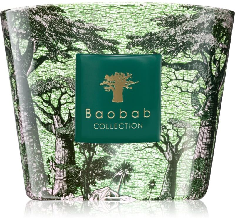 Baobab Collection Sacred Trees Touba bougie parfumée 500 g