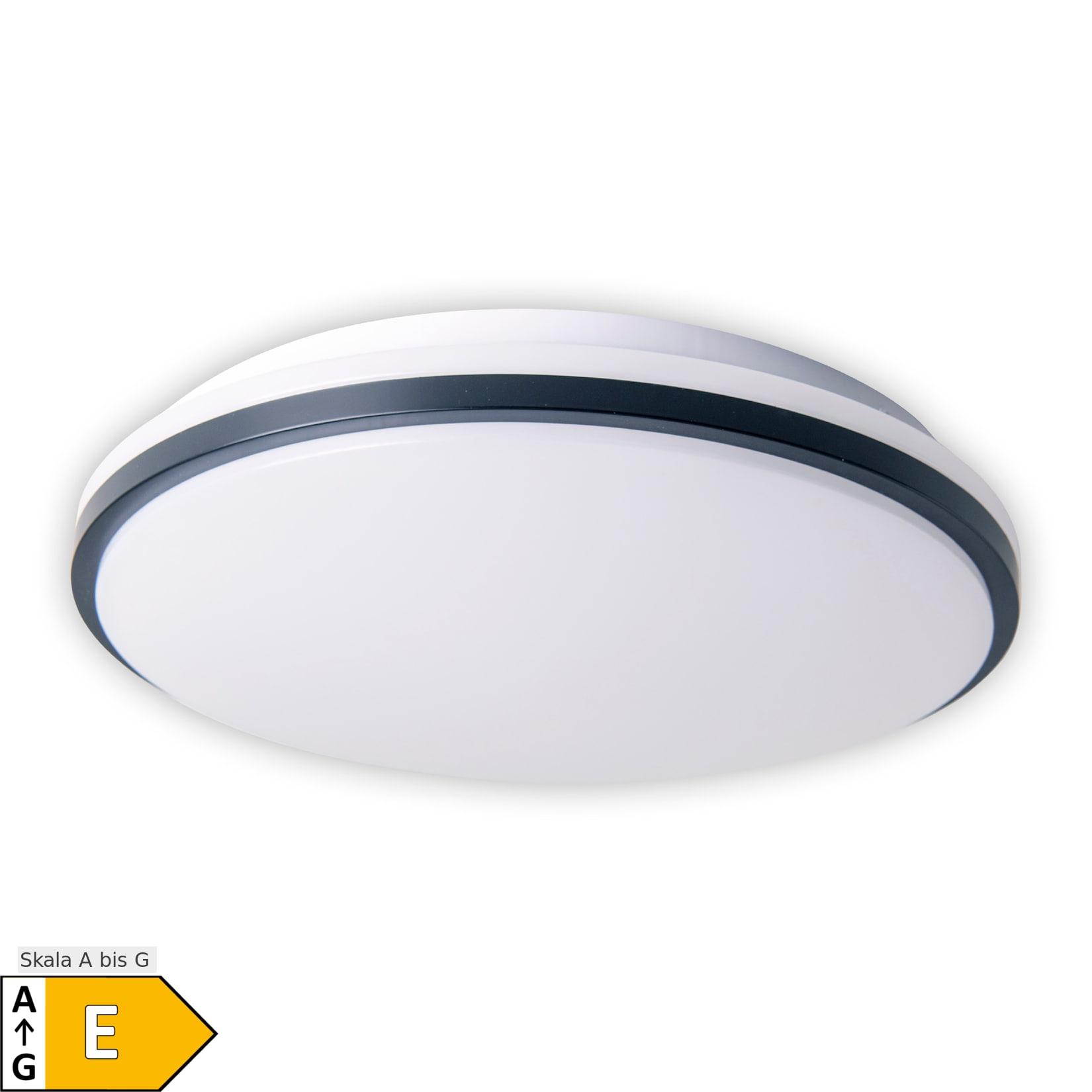 Näve LED Deckenleuchte "IRVINE"