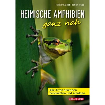 Heimische Amphibien ganz nah, Taschenbuch von Dieter Glandt,Benny Trapp, Quelle & Meyer, 978-3-494-01932-1