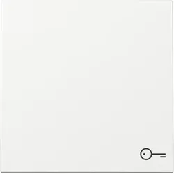 Gira 328703 Wippe Symb. Tür System 55 Reinweiß