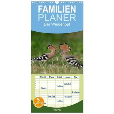 Familienplaner 2026 - Der Wiedehopf mit 5 Spalten (Wandkalender, 21 x 45 cm) CALVENDO