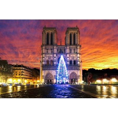 Papermoon "Notre Dame Sonnenaufgang"