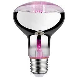 Paulmann LED-Pflanzenlampe Wachstum 230 V E27 6.5 W Bernstein 1 St. 28733