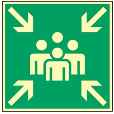 Schild Sammelstelle, Alu, langnachleuchtend, 160-mcd, 300x300 mm
