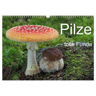 Pilze - tolle Funde (Wandkalender 2026 DIN A3 quer), CALVENDO Monatskalender