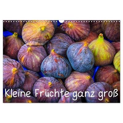 Kleine Früchte ganz groß (Wandkalender 2027 DIN A3 quer), CALVENDO Monatskalender
