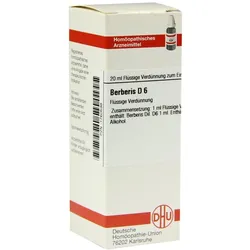 Berberis D 6 Dilution 20 ml
