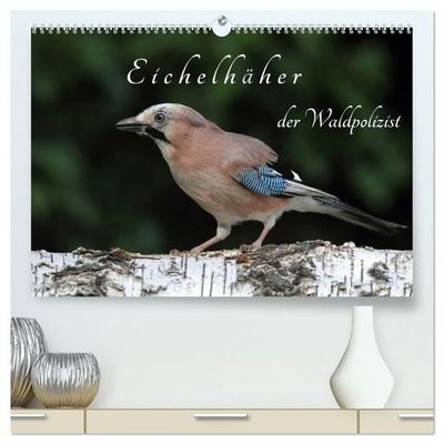 Eichelhäher der Waldpolizist (hochwertiger Premium Wandkalender 2027 DIN A2 quer), Kunstdruck in Hochglanz