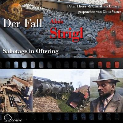 Sabotage in Oftering - Der Fall Alois Strigl - Peter Hiess,Christian Lunzer, Audio, 9783956162411
