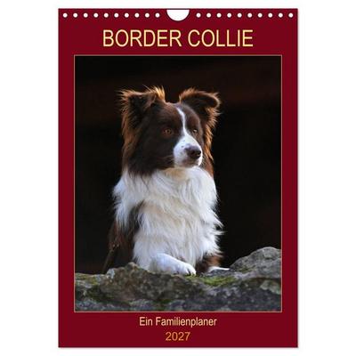 Border Collie - Ein Familienplaner (Wandkalender 2027 DIN A4 hoch), CALVENDO Monatskalender