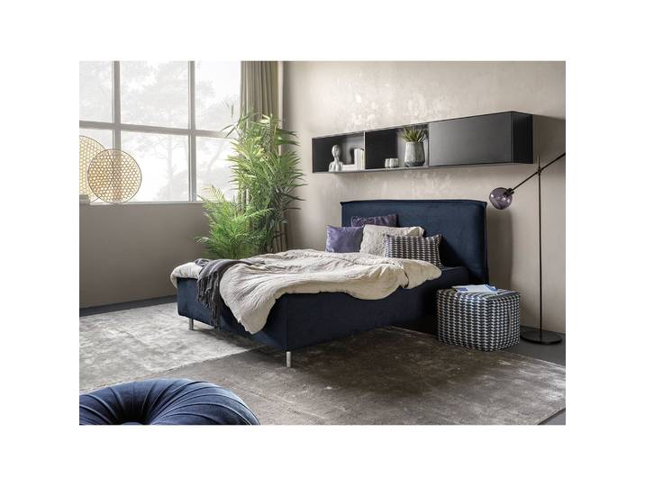 Polsterbett Homely 160 x 200cm Microfaser Panja Silber Buche