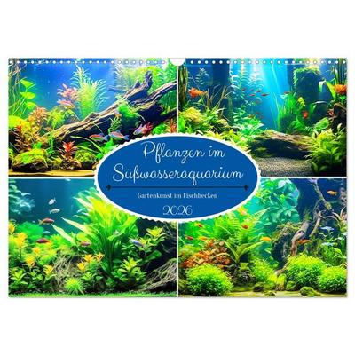 Pflanzen im Süßwasseraquarium. Gartenkunst im Fischbecken (Wandkalender 2026 DIN A3 quer), CALVENDO Monatskalender
