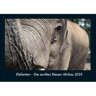 Elefanten - Die sanften Riesen Afrikas 2025 Fotokalender DIN A4