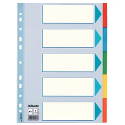 Esselte Kartonregister Standard Blanko, A4, Karton, 5 Blatt, weiss
