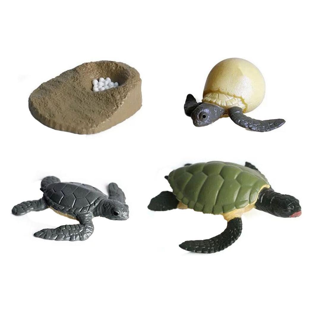 Lebenszyklus-Schildkröten-Spielzeugfiguren-Set (47314369)