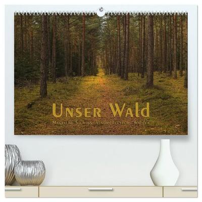 Unser Wald - Magische Sichten in norddeutsche Wälder (hochwertiger Premium Wandkalender 2027 DIN A2 quer), Kunstdruck in Hochglanz
