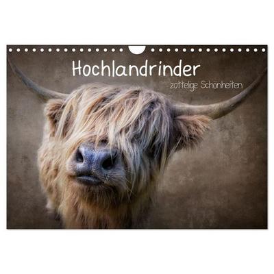Hochlandrinder - Zottelige Schönheiten (Wandkalender 2027 DIN A4 quer), CALVENDO Monatskalender