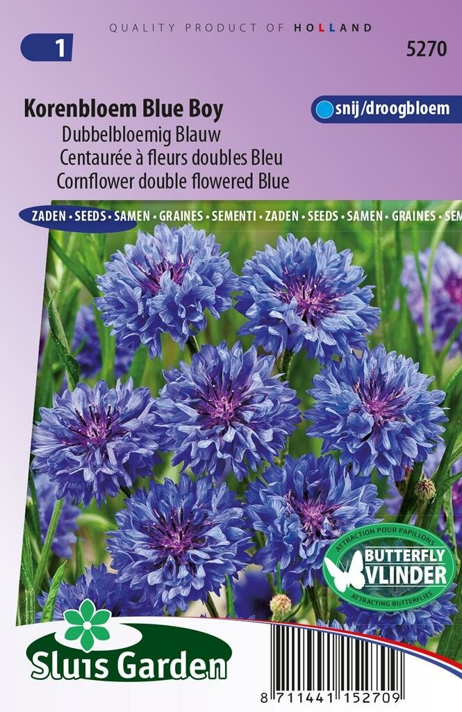 Sluis Garden Centaurea Cyanus zaden Korenbloem Blue Boy