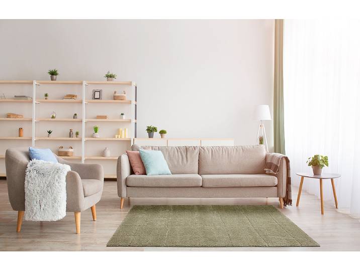 Kurzflorteppich Tomar Grau/Salbei 160 x 230cm Polypropylen, Polyester