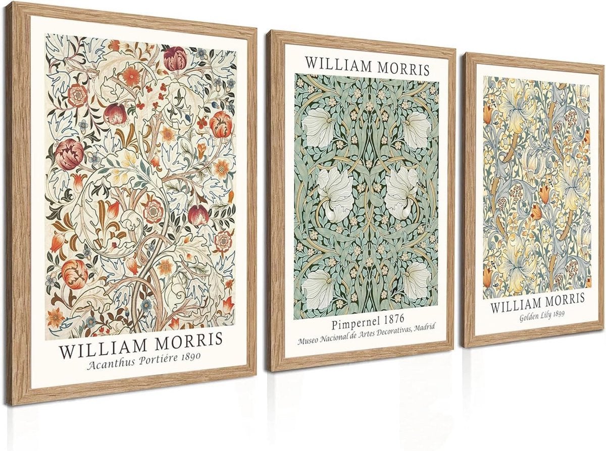 Set van 3 Canvas Wanddecoraties met Botanische Bloem Illustraties voor Woonkamer en Badkamer