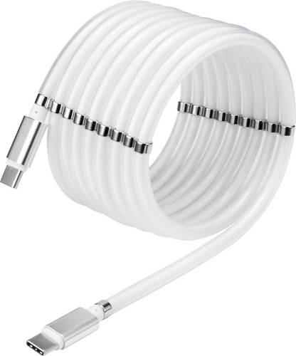 Renkforce USB-Kabel USB 2.0 USB-C Stecker, USB-C Stecker 2.00m Weiß vergoldete Steckkontakte TO-6886785