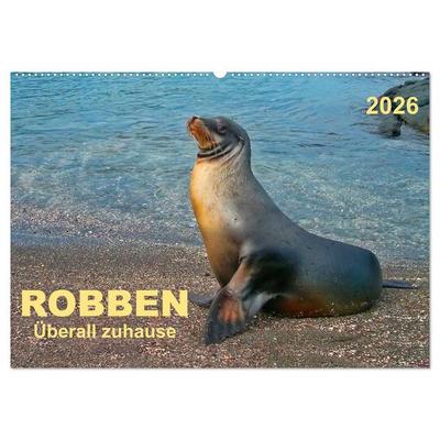 Robben - überall zuhause (Wandkalender 2026 DIN A2 quer), CALVENDO Monatskalender