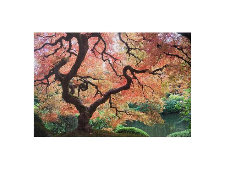 Bild Japanischer Garten III Vorderseite: Aluminium, metallisch gebürstet Rückseite: Aluminium mit grauer Schutzbeschichtung Multicolor 75 x