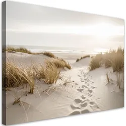 LEINWANDBILD Strand Meer Pflanzen Dünen Natur 120x80cm
