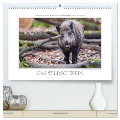 Emotionale Momente: Das Wildschwein. (hochwertiger Premium Wandkalender 2026 DIN A2 quer), Kunstdruck in Hochglanz