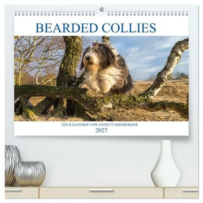 BEARDED COLLIES 2027 (hochwertiger Premium Wandkalender 2027 DIN A2 quer), Kunstdruck in Hochglanz