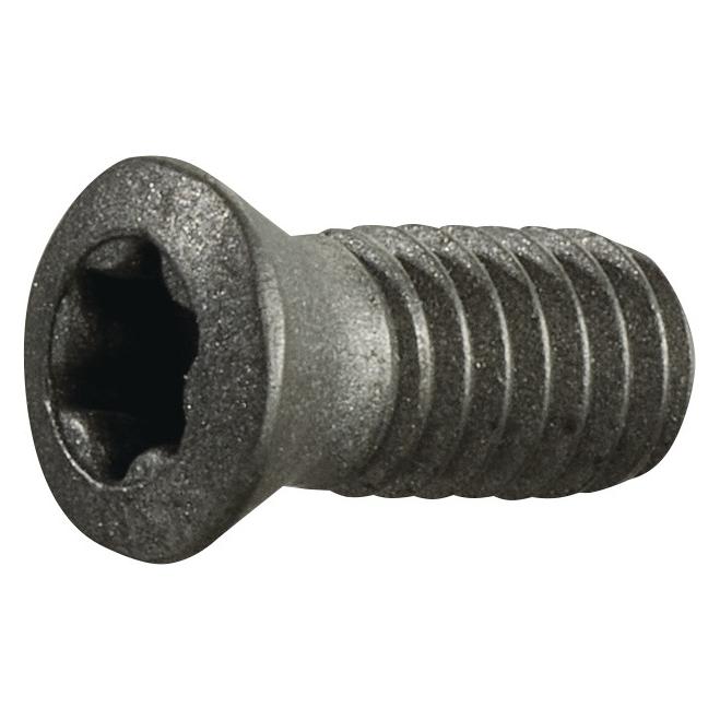 Tecwerk Spannschraube (65897929)