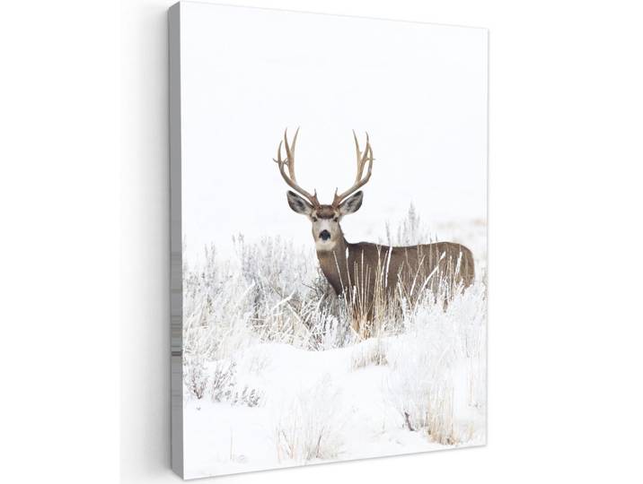 MuchoWow Leinwandbild - Hirsche - Winter - Schnee - Tiere - Jahreszeiten - Weiß - 60x80 - Gemälde, Hellbraun, Textil, Kiefer, Abstrakt, Rechteckig, 60x80 cm, gerahmt, Bilder & Rahmen, Bilder, Wandbilder
