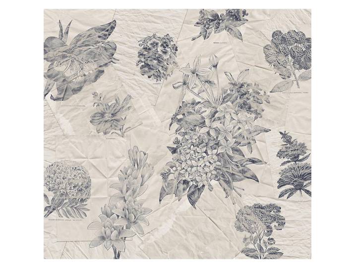 FOTOTAPETE R3-045 BOTANICAL PAPERS