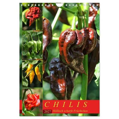 Chilis - Höllisch scharfe Früchtchen (Wandkalender 2027 DIN A4 hoch), CALVENDO Monatskalender
