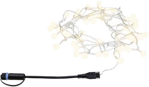Paulmann 94558 Beleuchtungssystem Plug & Shine LED Warmweiß Schwarz