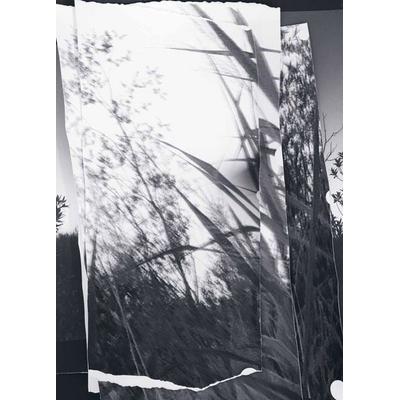 walks, conversations, Taschenbuch von Berit Schneidereit, Distanz Verlag, 978-3-95476-620-8
