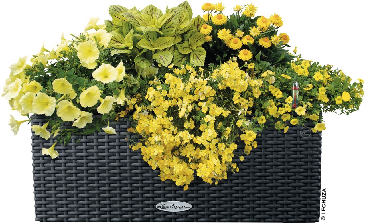 Lechuza Balkonkasten BALCONERA Cottage 50 cm, granit