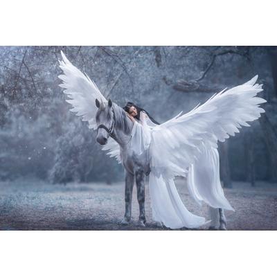Fototapete PAPERMOON "EINHORN MIT FEE IM MÄRCHENWALD", bunt, B:3,5m L:2,6m, Vlies, Tapeten