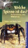 Barbara Baehr - Welche Spinne ist das? - Preis vom 30.09.2026 09:01:18 h