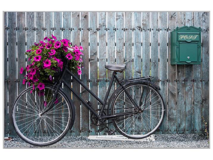 Bild mit Rahmen Fahrrad mit Blumendeko image LAND