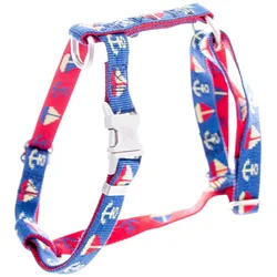 Image Cap Dog (M, Hund, Spazieren), Halsband + Leine