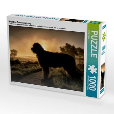 CALVENDO Puzzle Briard im Sonnenaufgang 1000 Teile Puzzle quer | 1000 Teile Lege-Größe 64 × 48 cm Foto-Puzzle für glückliche Stunden