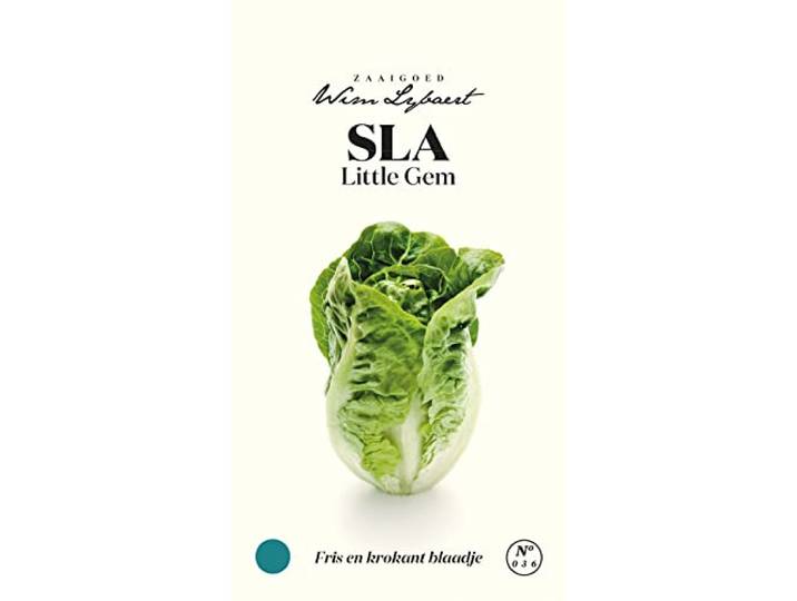 Sla Little Gem, fris en krokant blaadje - Zaaigoed Wim Lybaert