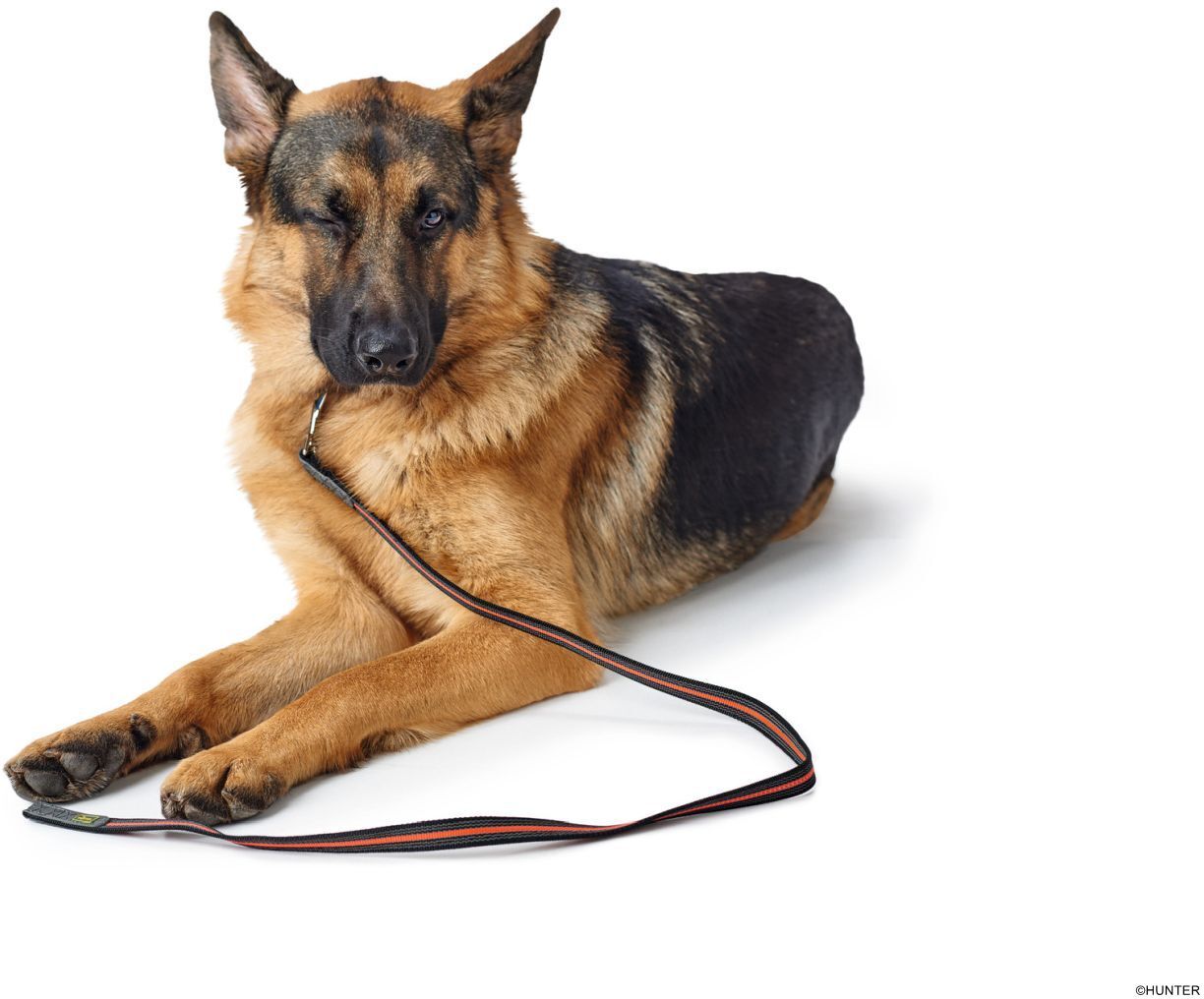DOG SPORT HUNTER Führleine Visby Super Grip 20/120, orange