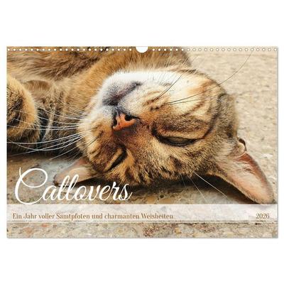 Catlovers - Ein Jahr voller Samtpfoten und charmanten Weisheiten (Wandkalender 2026 DIN A3 quer), CALVENDO Monatskalender